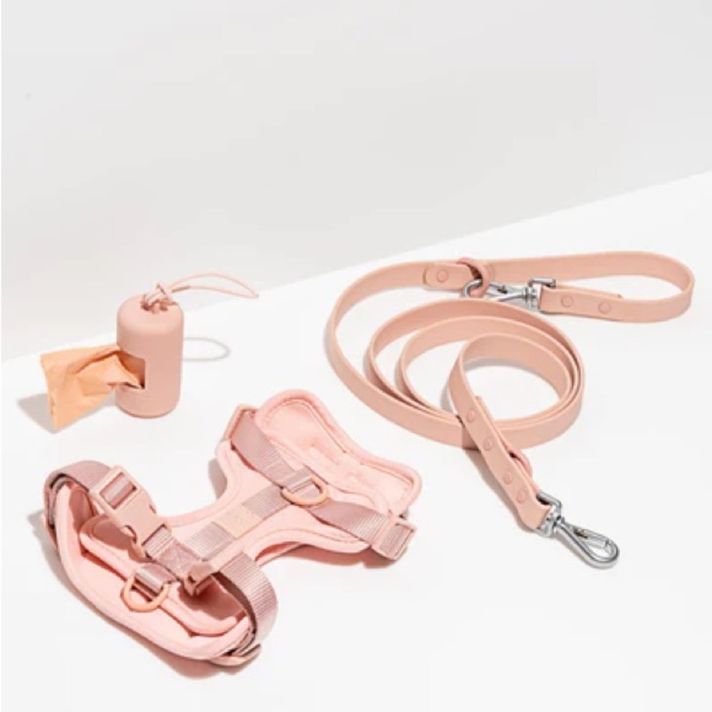 🚫 SOLD 🚫Dog Walking Set